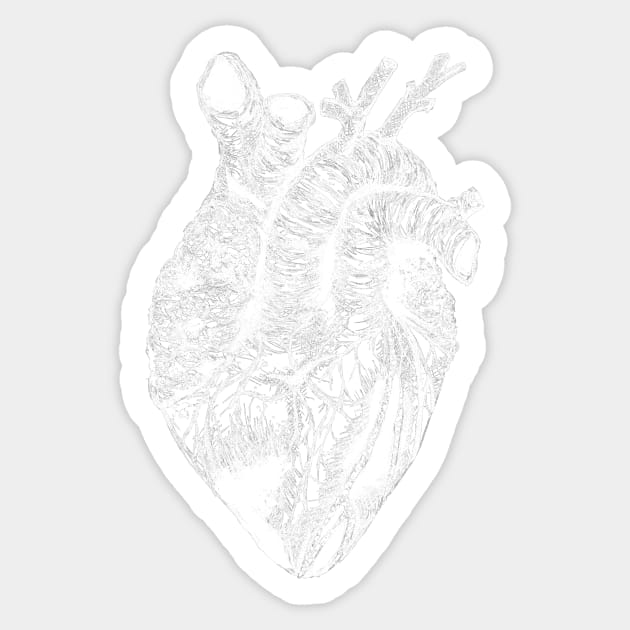 pen and ink heart drawing white transparent Sticker by lovefromsirius